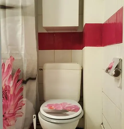 Petit Studio Au Coeur De Apartamento *